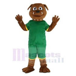 Bouledogue brun Costume de mascotte en Sweat Vert