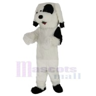 Gracioso Perro blanco y negro Traje de la mascota Animal