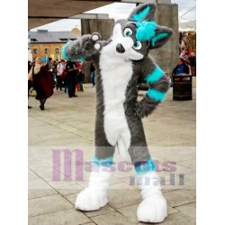 Fursuit de perro husky gris y azul Disfraz de mascota
