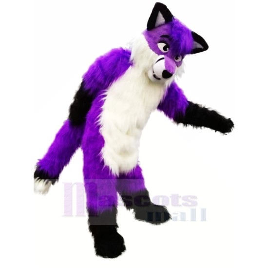 Purple Wolf Husky Mascot Costume