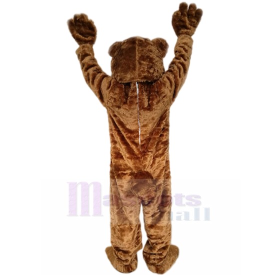 Smiling Brown Bear Mascot Costume with Big Eyes Animal