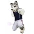 Costume de mascotte de chien husky gris poilu en jersey animal