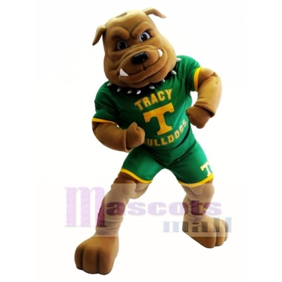 Bouledogue dans Maillot Vert Costume de mascotte Animal