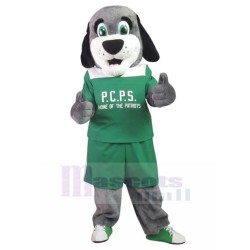 Patriots School Grey Dog Mascot Costume in Green Shirt Animal