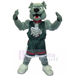 Muscular Grey Bulldog Thunder The Dawg Mascot Costume Animal