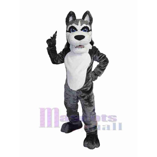 Smart Husky Dog Mascot Costume Animal