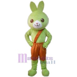 Conejo verde Disfraz de mascota Animal
