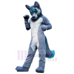 Grey and White Wolf Mascot Costume Animal with Blue Tail