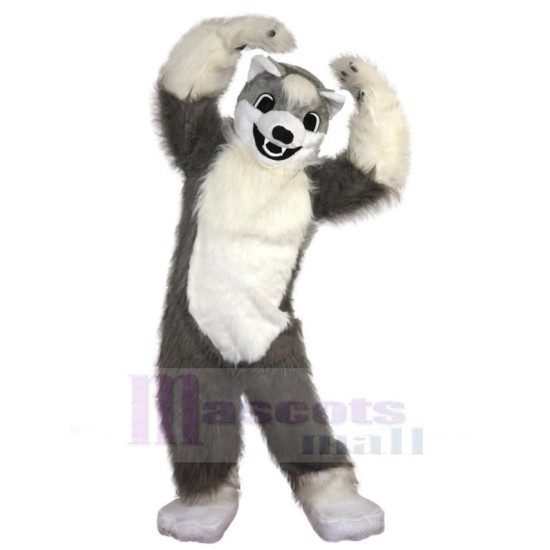 Lovely White and Gray Wolf Mascot Costume Animal