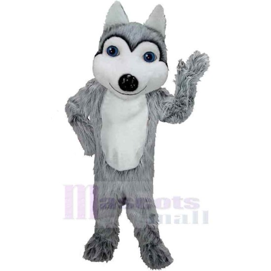 Smiling Wolf Mascot Costume Animal with Blue Eyes