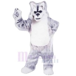 Gray and White Older Wolf Mascot Costume Animal