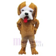 Chien de chasse brun piquant Costume de mascotte Animal