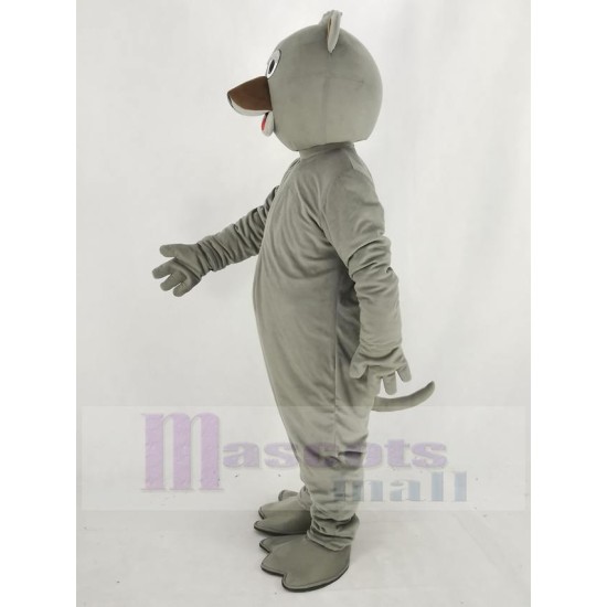 Gray Pete Opossum Mascot Costume Animal