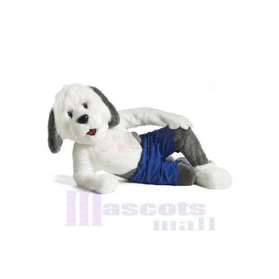 Sheepdog Dog Mascot Costume Animal in Blue Pants