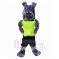 Grey American Bulldog Mascot Costume Animal in Green Vest