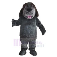 Lovely Dark Grey Husky Dog Mascot Costume Animal