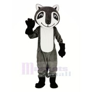 Raton laveur gris souriant Costume de mascotte Animal