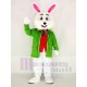 Wendell Green Easter Bunny Rabbit Mascot Costume Animal