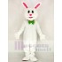 Funny Easter Bunny Rabbit Mascot Costume Animal