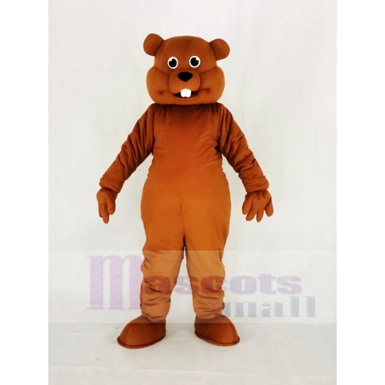Marron mignon Écureuil noisette Costume de mascotte Animal