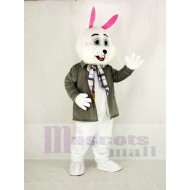 Conejito de pascua Traje de la mascota con abrigo gris