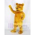 Long-haired Brown Bear Mascot Costume Animal