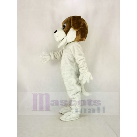 Saint Bernard Dog Mascot Costume Animal