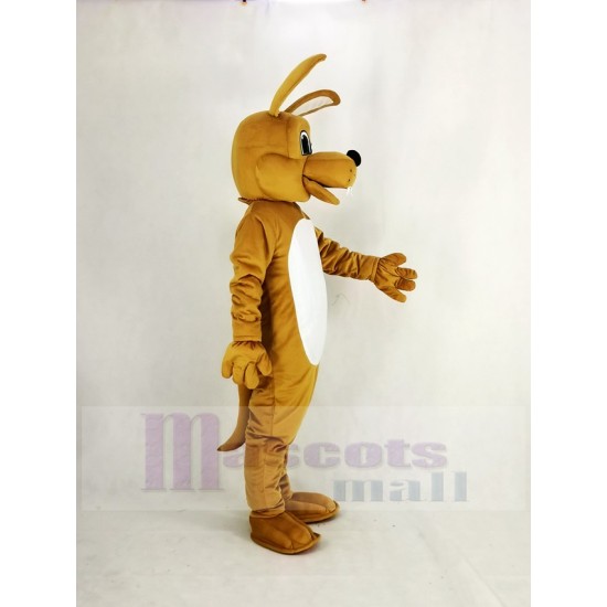 Kody Koyote Coyote Wolf Mascot Costume Animal