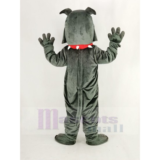 Dark Gray Bully Bulldog Mascot Costume Animal