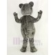 Gray Teddy Bear Mascot Costume Cartoon Male