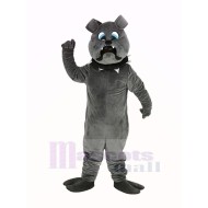 Gris Féroce Bouledogue Costume de mascotte Animal