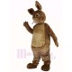 Peter Rabbit Mascot Costume Animal