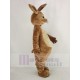 Peter Rabbit Mascot Costume Animal