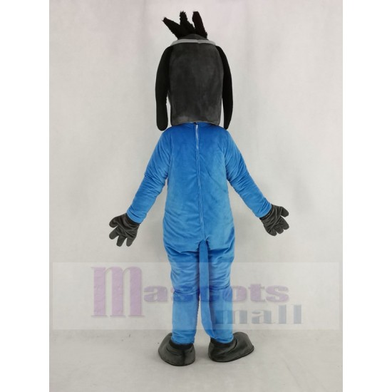 Doctor sabueso Perro Disfraz de mascota en abrigo azul Animal