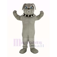 Lindo gris Buldog Disfraz de mascota Animal