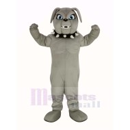 Cute Gray Bulldog Mascot Costume Animal