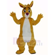 Funny Yellow Rabbit Mascot Costume Animal