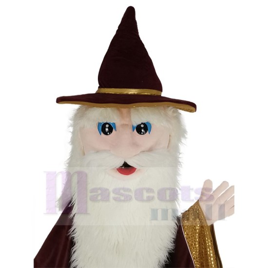 Maroon Merlin Wizard Mascot Costume People