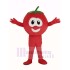 VeggieTales-Charakter Tomate Bob Maskottchen Kostüm Cartoon-Pflanzen